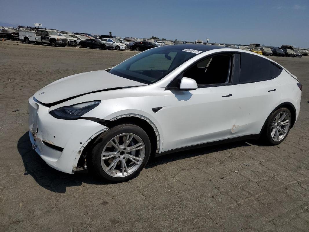 5YJYGDEE3MF0663512021 TESLA Model Y