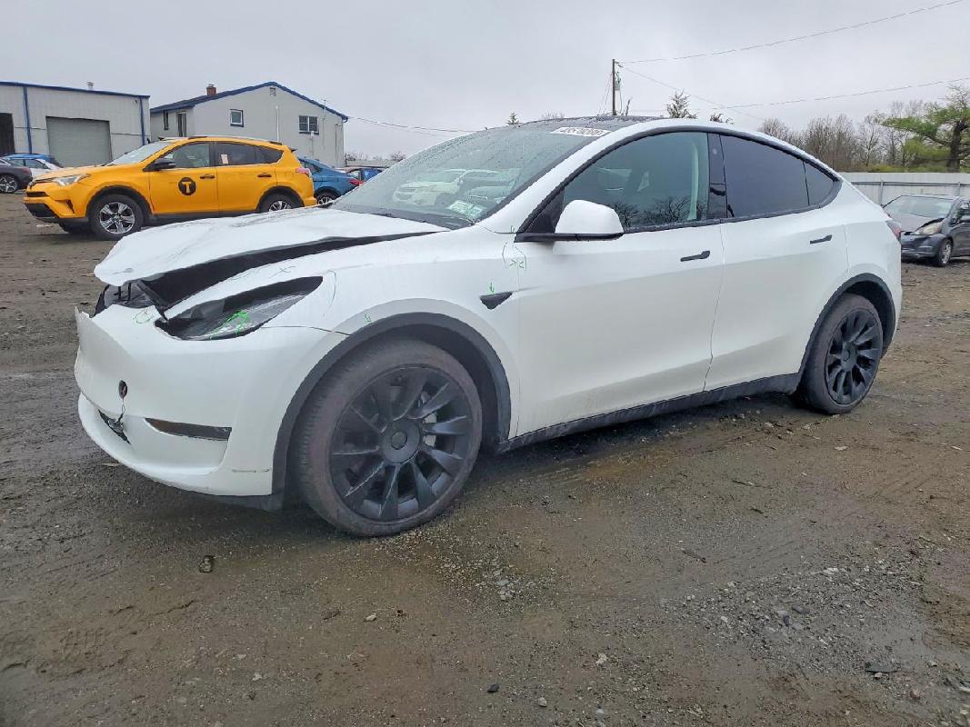 7SAYGDEE9PA0614822023 Tesla Model Y