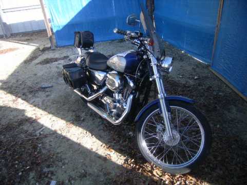 2006 HARLEY DAVIDSON Sportster 1200 Custom XL1200C VIN 1HD1CGP156K417516 auction photo