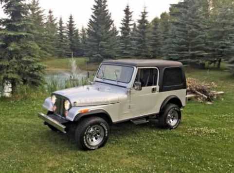 1986 Jeep CJ-7 OPEN BODY 4.2L VIN 1JCCE87E8GT063465 фото с аукциона