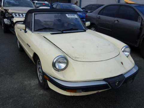 1984 Alfa Romeo Spider VIN ZARBA5415E1018524 auction photo
