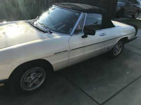 1984 Alfa Romeo Spider VIN ZARBA5410E1019421 auction photo
