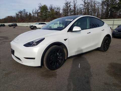 Tesla Model Y 2023 VIN 7SAYGDEE1PF827997 | Check history