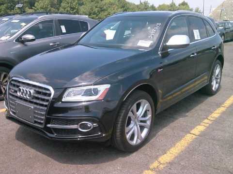2016 AUDI SQ5 VIN WA1CCAFP4GA092520 auction photo