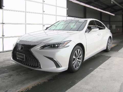 Lexus ES BASE 2021 VIN 58ADZ1B14MU087827 | Проверка истории
