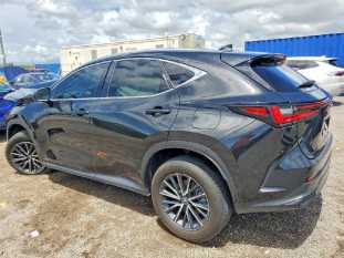 2024 LEXUS NX 250 VIN 2T2ADCAZ2RC010874 фото с аукциона 1