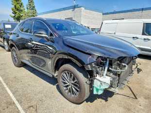 2024 LEXUS NX 350H VIN 2T2GKCEZ4RC018694 фото с аукциона 3