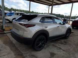 3MVDMBBM7RM651538 фото 2