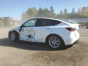 2023 TESLA Model Y VIN 7SAYGDEE4PF598120 фото с аукциона 1
