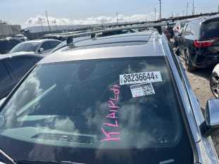 vin WA1LAAF71KD046768