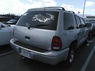 1999 DODGE Durango VIN 1B4HR28YXXF541348 фото с аукциона 1